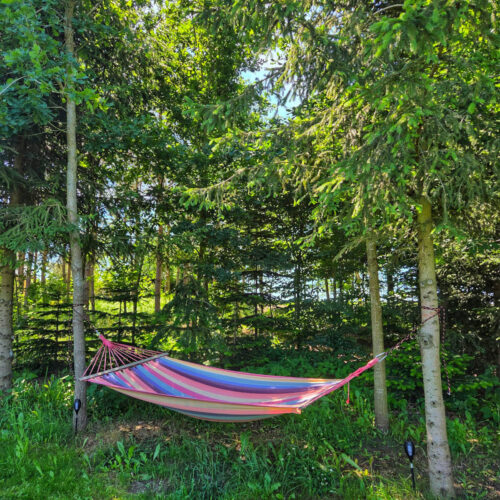 Mały domek